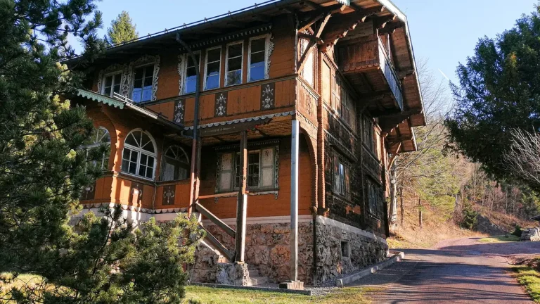 kisiel tuczy